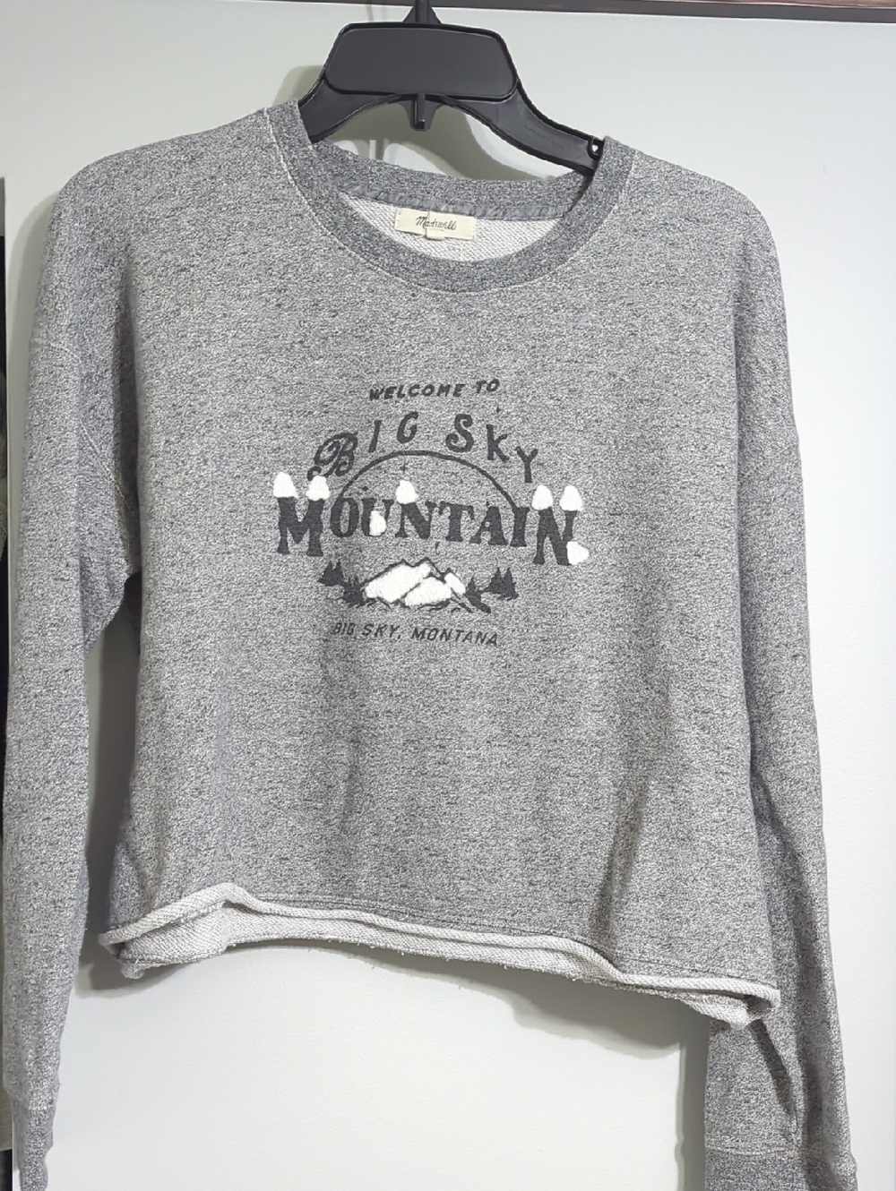 Madewell Gray Crewneck Pullover with Mountain Graphic